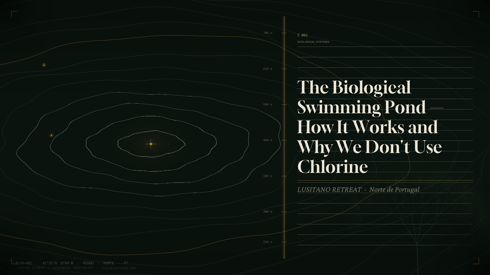 The Biological Swimming Pond — How It Works and Why We Don't Use Chlorine