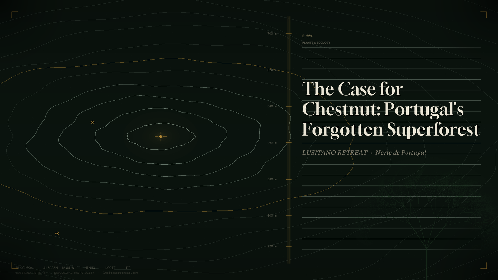 The Case for Chestnut: Portugal's Forgotten Superforest
