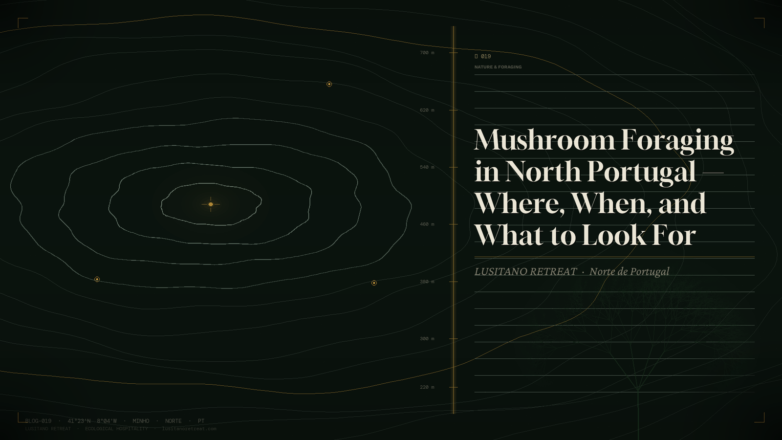 Mushroom Foraging in North Portugal — Where When and What to Look For