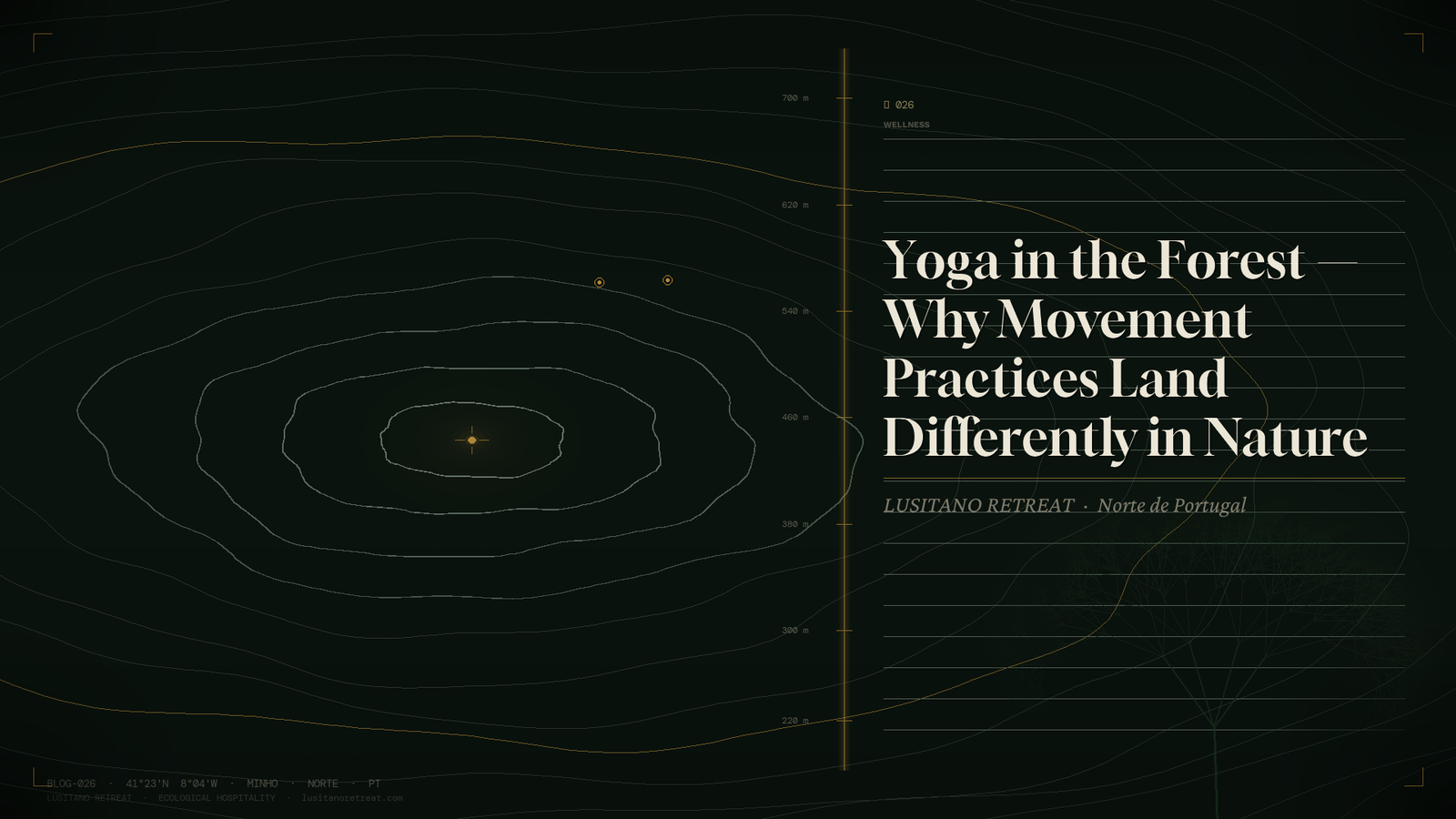 Yoga in the Forest — Why Movement Practices Land Differently in Nature