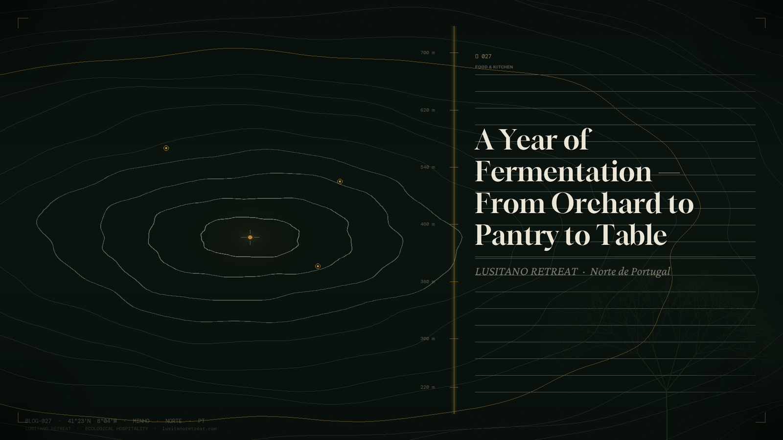 A Year of Fermentation — From Orchard to Pantry to Table