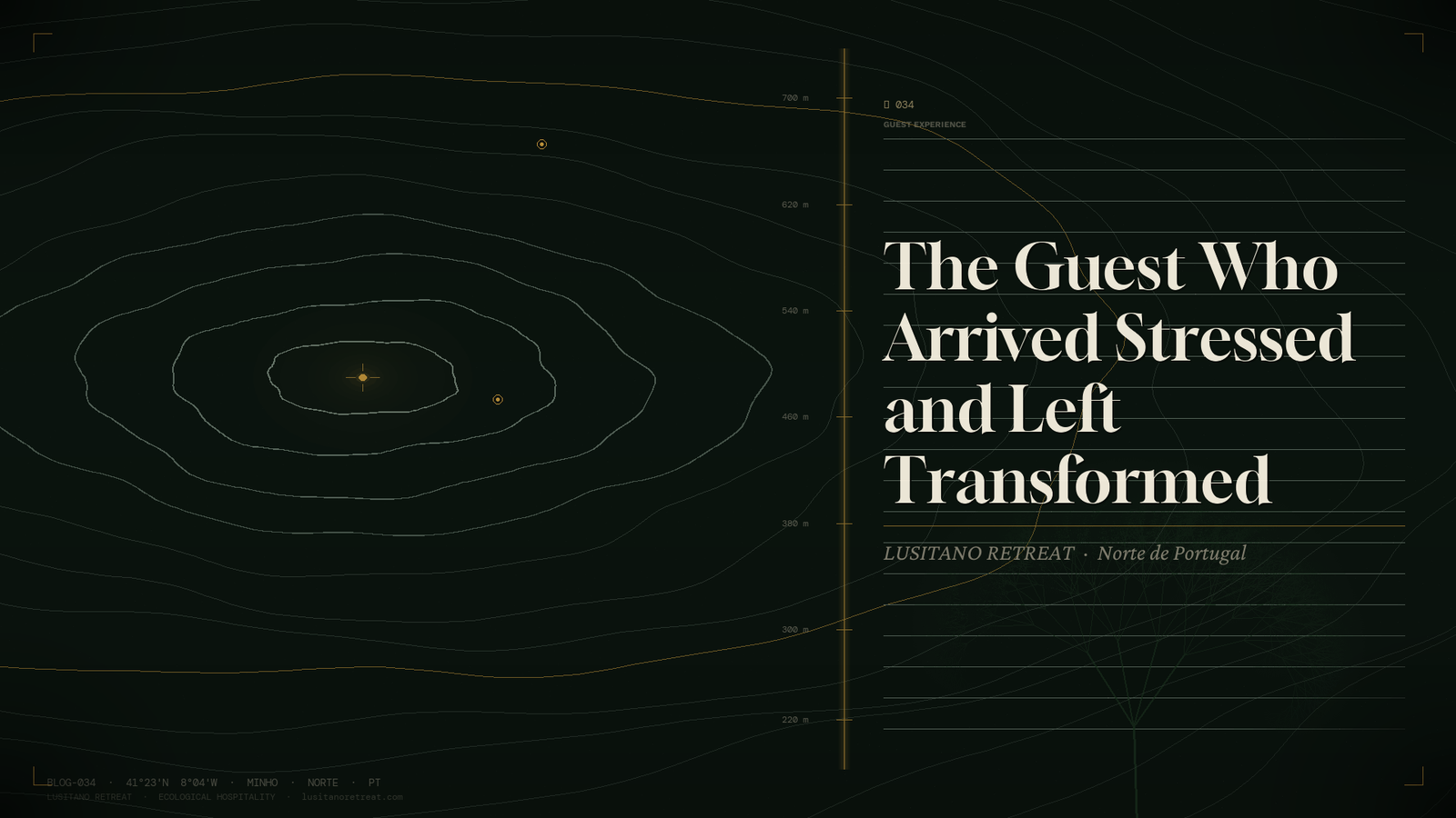 The Guest Who Arrived Stressed and Left Transformed