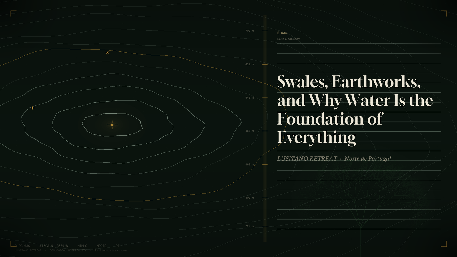 Swales Earthworks and Why Water Is the Foundation of Everything