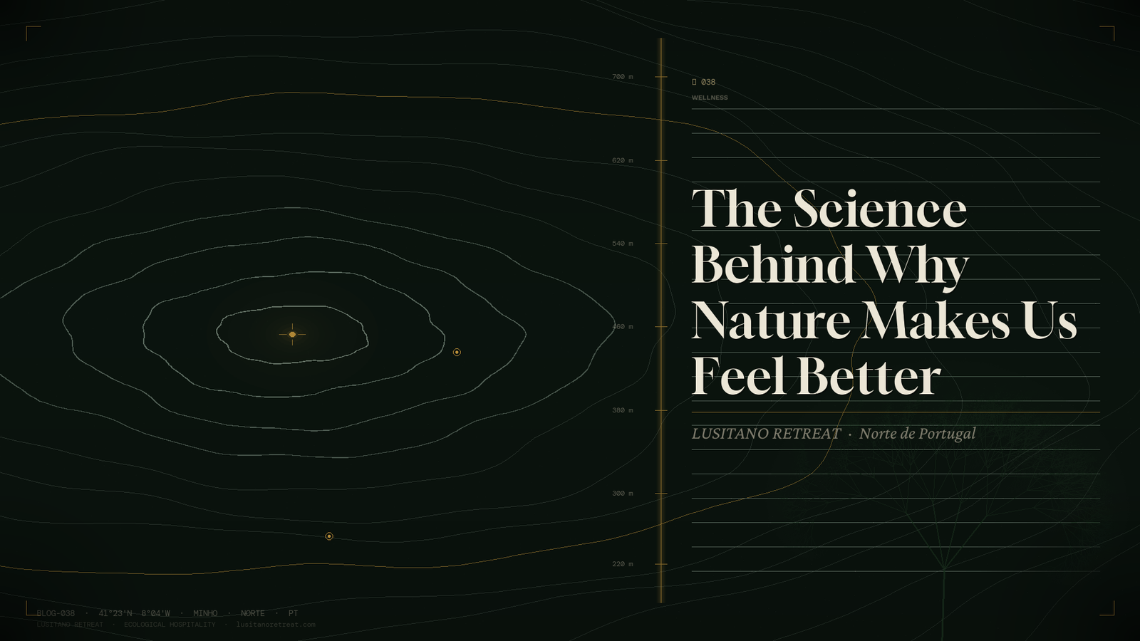 The Science Behind Why Nature Makes Us Feel Better