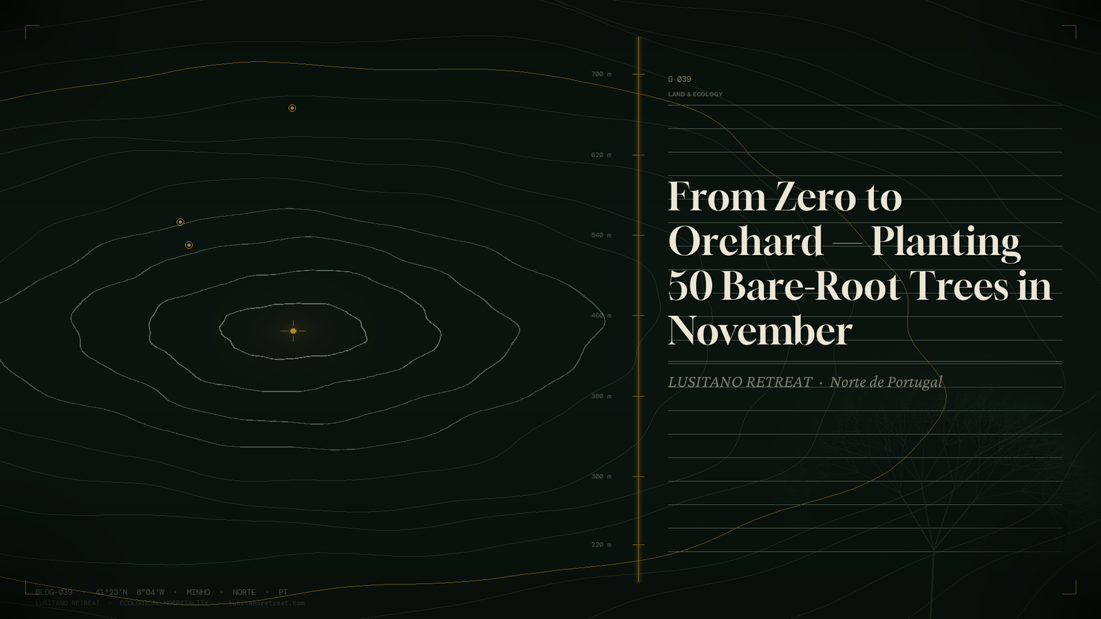 From Zero to Orchard — Planting 50 Bare-Root Trees in November