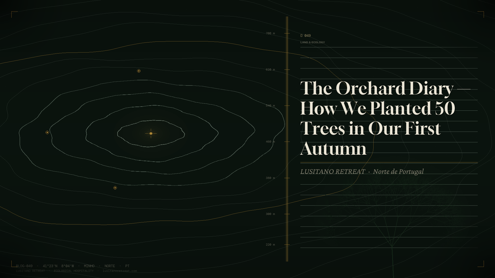 The Orchard Diary — How We Planted 50 Trees in Our First Autumn