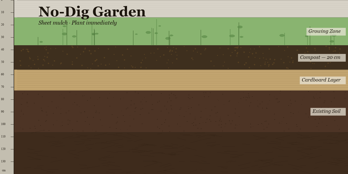 How to Build a No-Dig Garden on a Rural Property