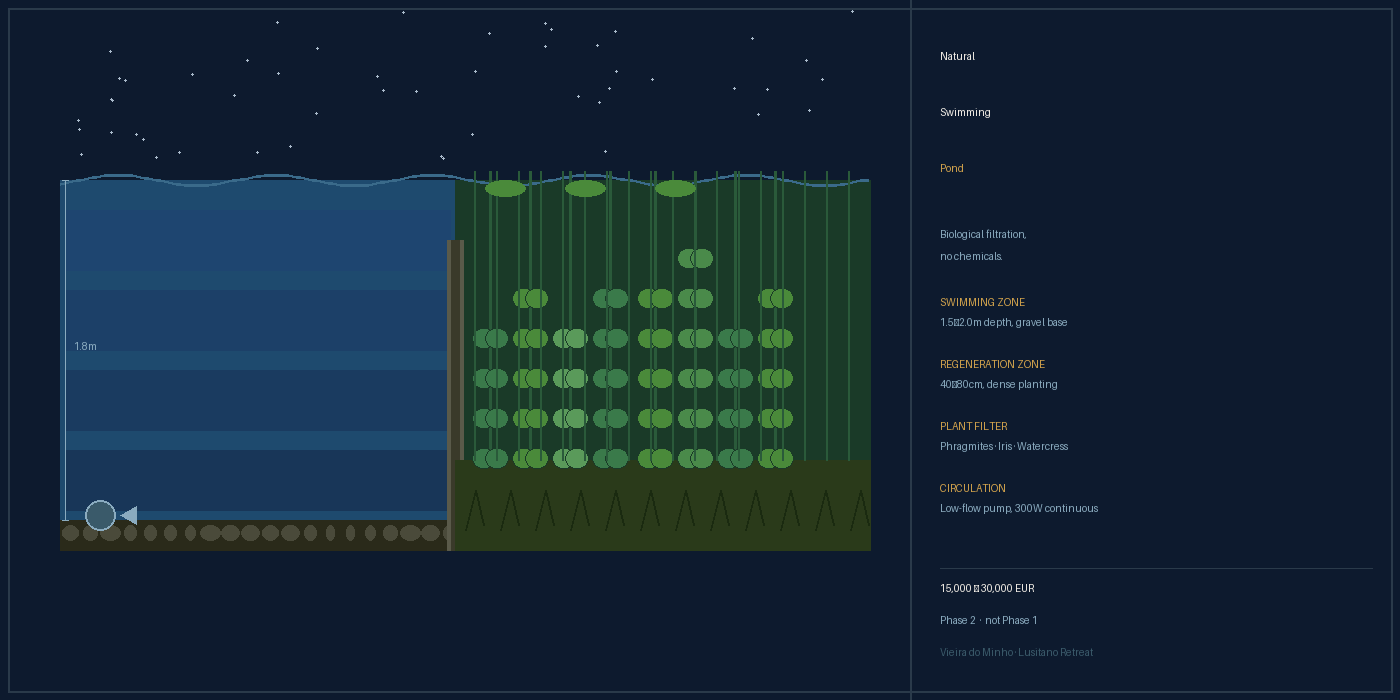 What is a Natural Swimming Pond? A Builder's Honest Guide